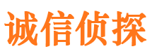 新华侦探公司